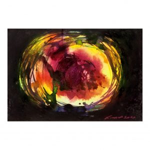 8 x 11.5 in