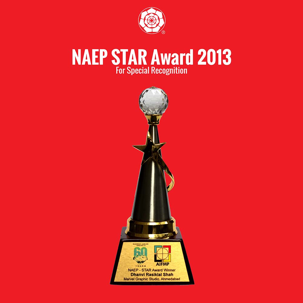 NAEP Star Award 2013